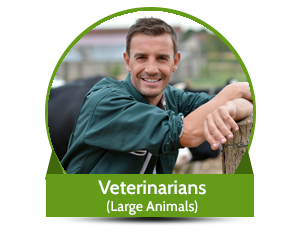 vets largeanimals
