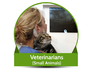 vets smallanimals